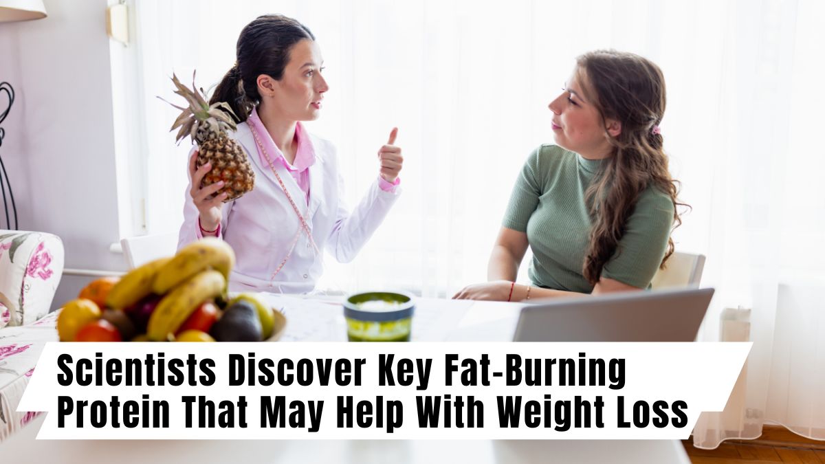 Scientists Discover Key Fat-Burning Protein That May Help With Weight Loss